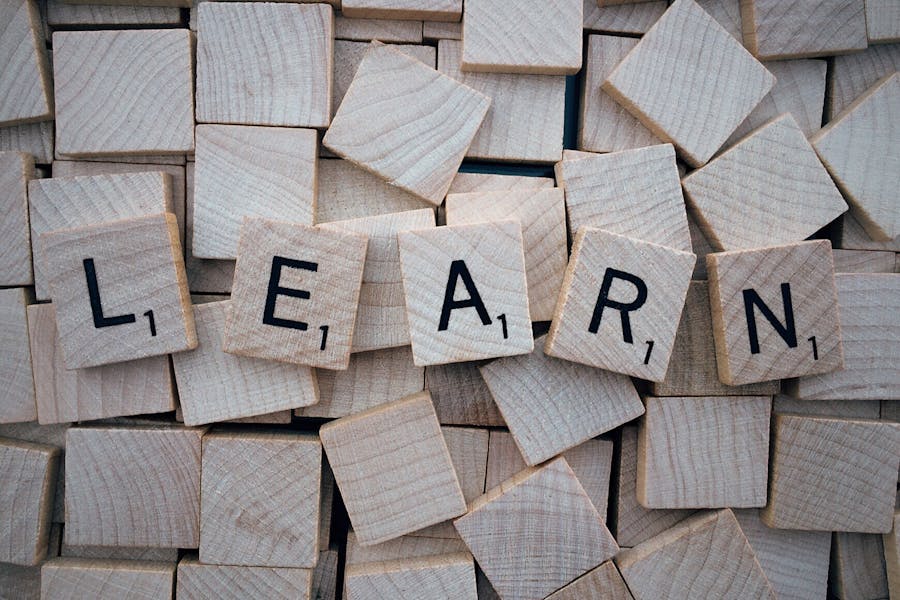 How Flexible Learning Paths Help Adults Reach Their Goals
