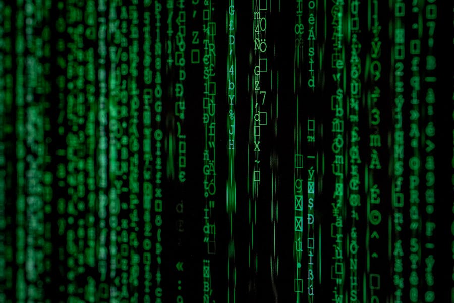 Tech Skills That Will Make You Indispensable in Federal Agencies
